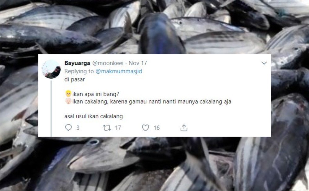 Kenapa Namanya Ikan Kembung. 12+ Sejarah Asal Usul Nama Ikan Versi Warganet Twitter. Orang Awam mah Pasti Nggak Pernah Kepikiran!