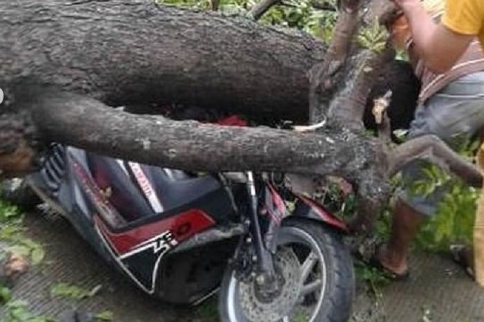 Kredit Nmax Daerah Cilegon. Warga Cilegon Histeris, Motor Yamaha NMAX Luka Parah, Pemotor Patah Tangan Tertimpa Pohon Tumbang