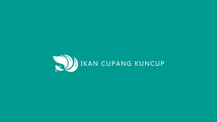 Kenapa Ikan Cupang Kuncup. √ Ikan Cupang Kuncup : Penyebab, Obat, Mengatasi & Mencegah